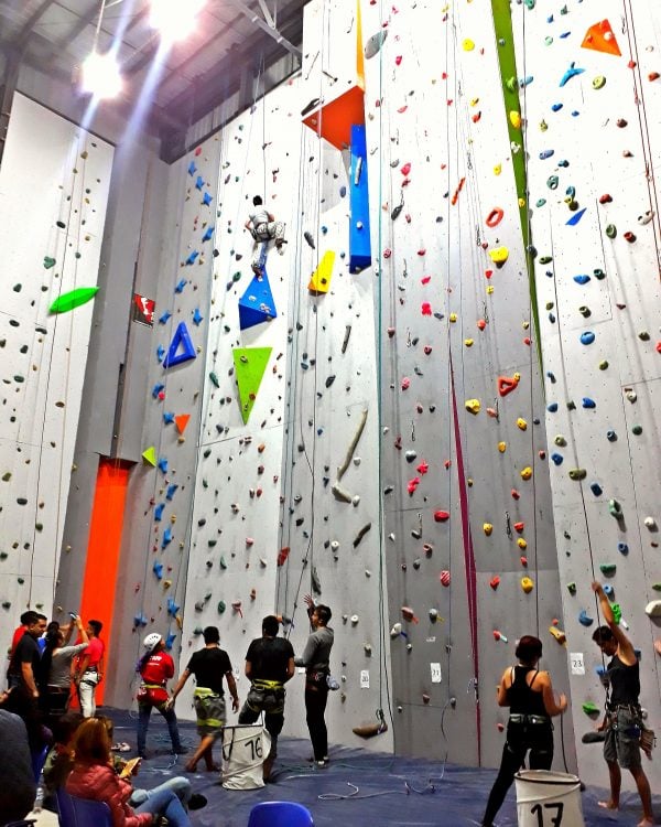 Gran Pared - Muro de Escalada