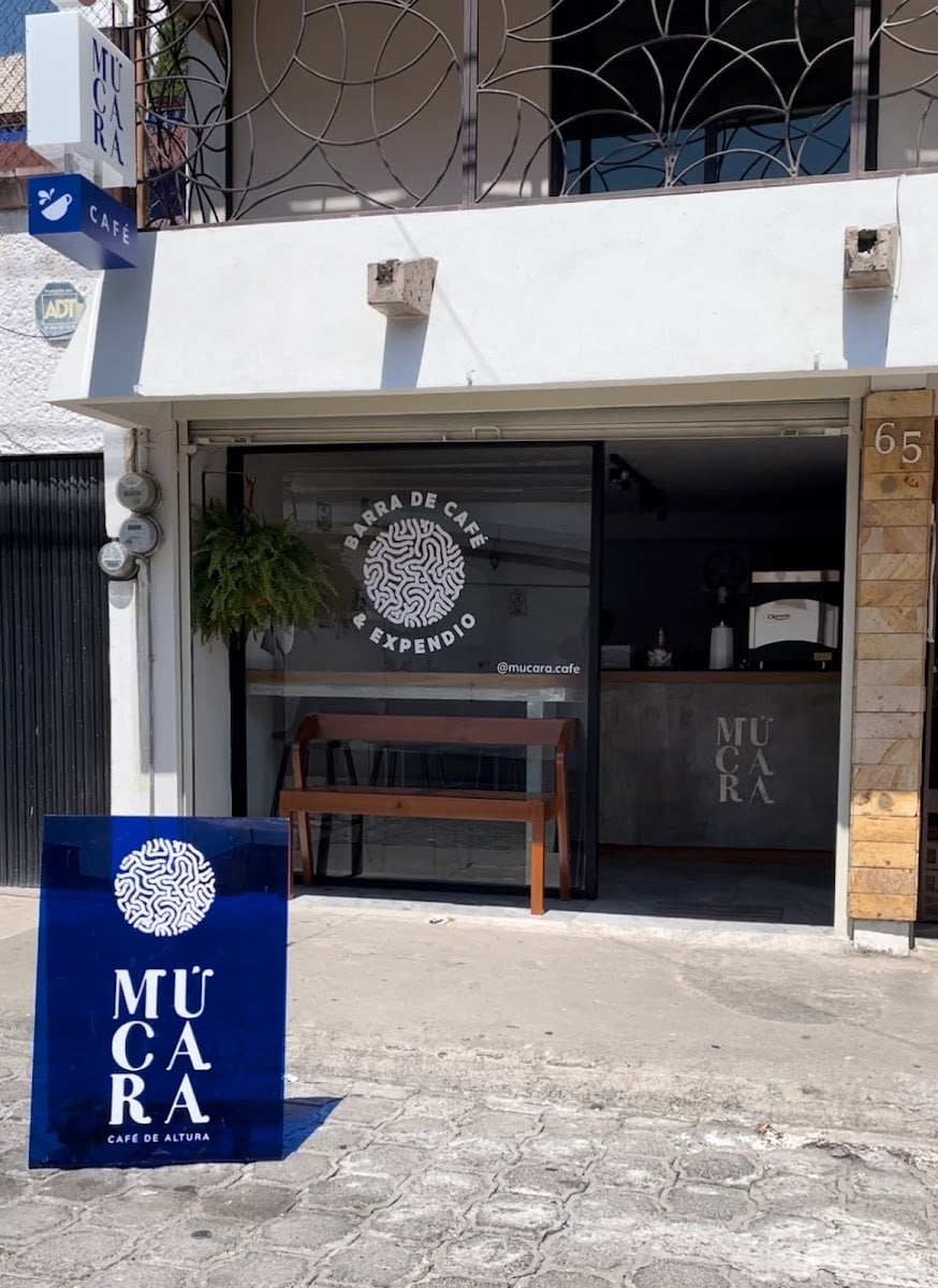 MÚCARA CAFÉ