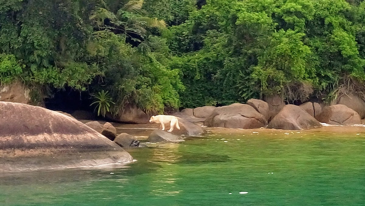 Praia Saco da Velha