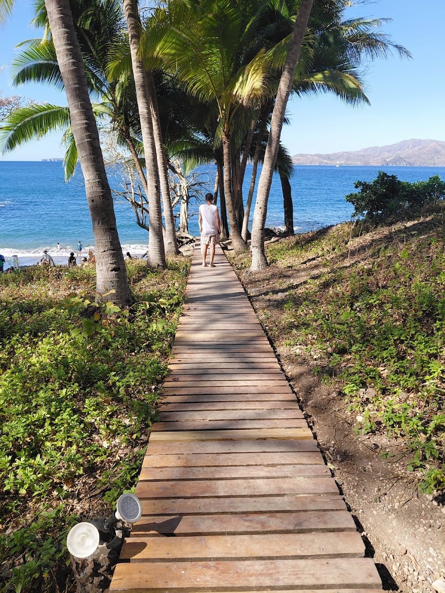 Playa Ardilla