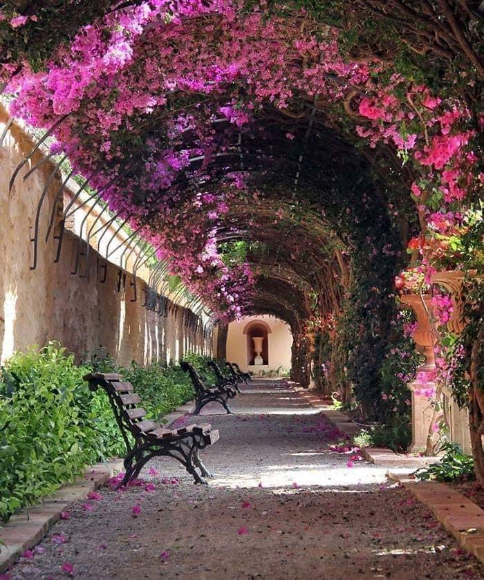Jardines de Monforte - a peaceful corner of the city that never disappoints