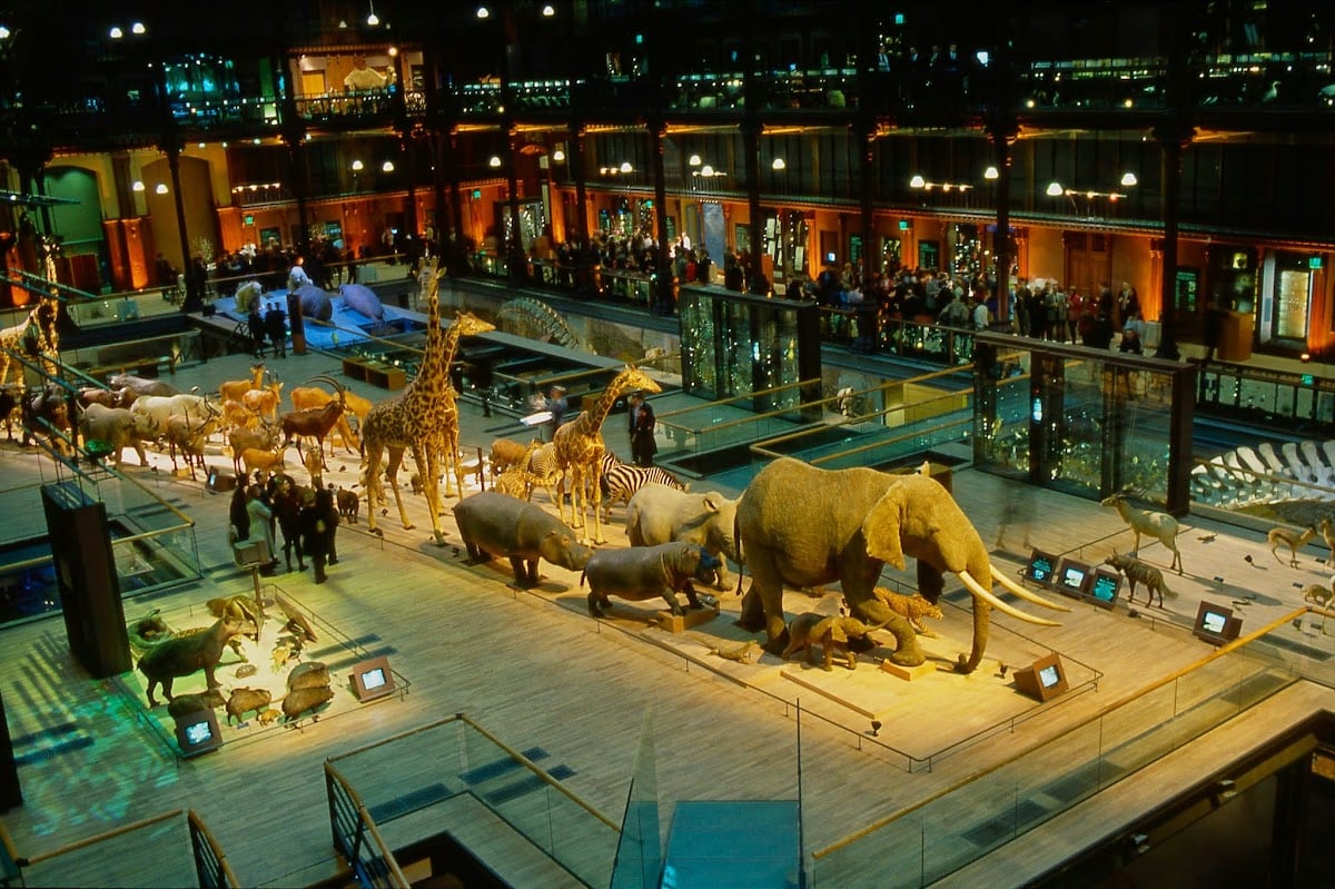 Grande Galerie de l'Évolution 