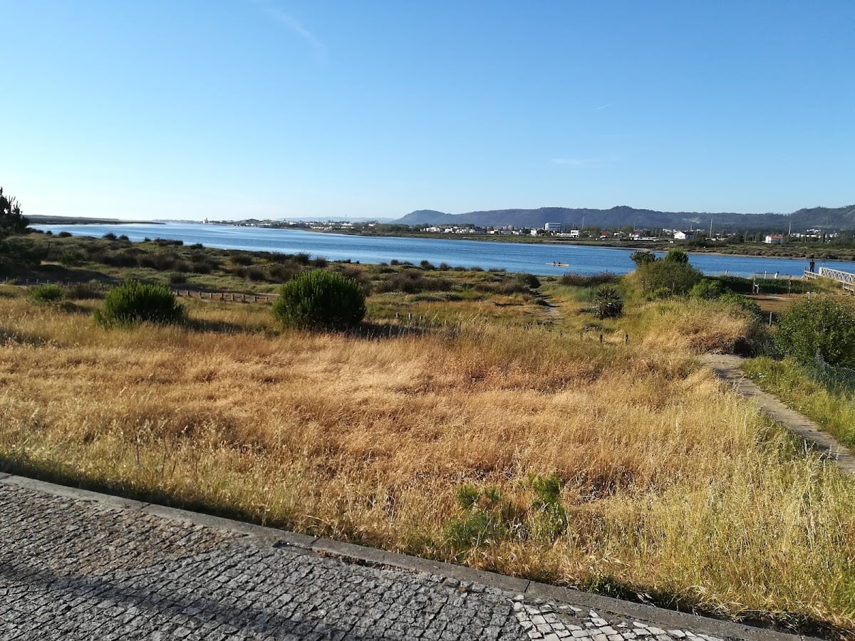 Ofir