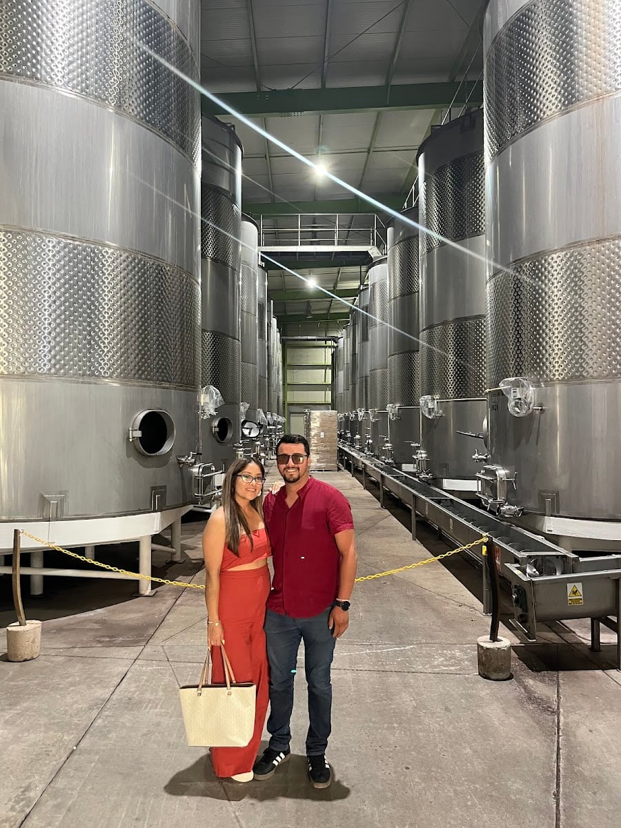 Viñedos L. A. CETTO