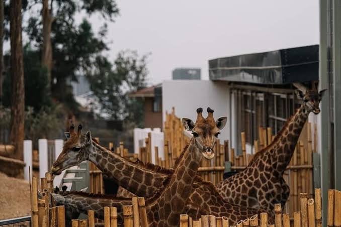 Unity Park Zoo