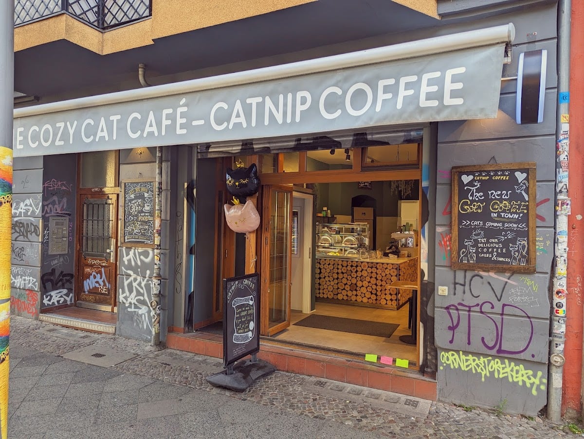 Catnip Coffee