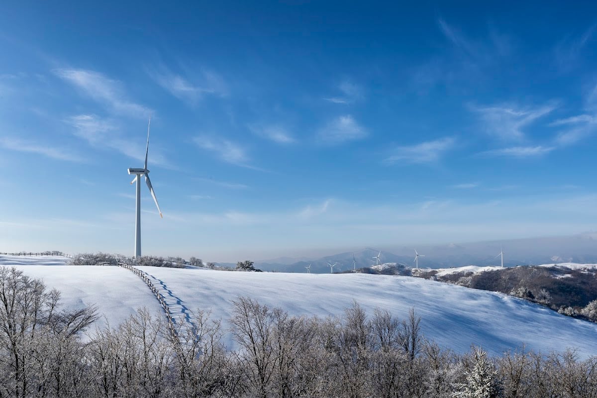 Eco Green Campus [Daegwallyeong Samyang Ranch] - Bts 2021 winter package Shooting spot