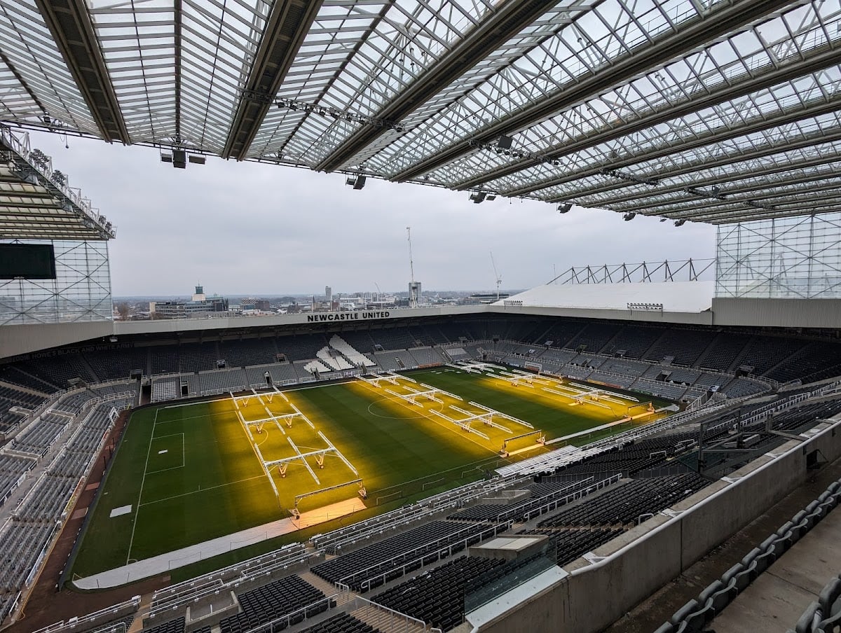 St James’ Park - Écureuil