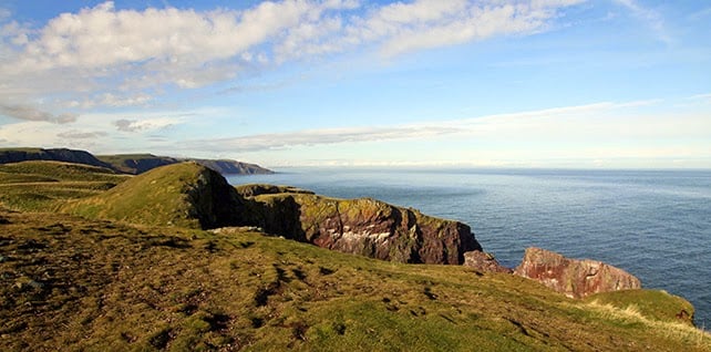 St Abbs Head - Border
