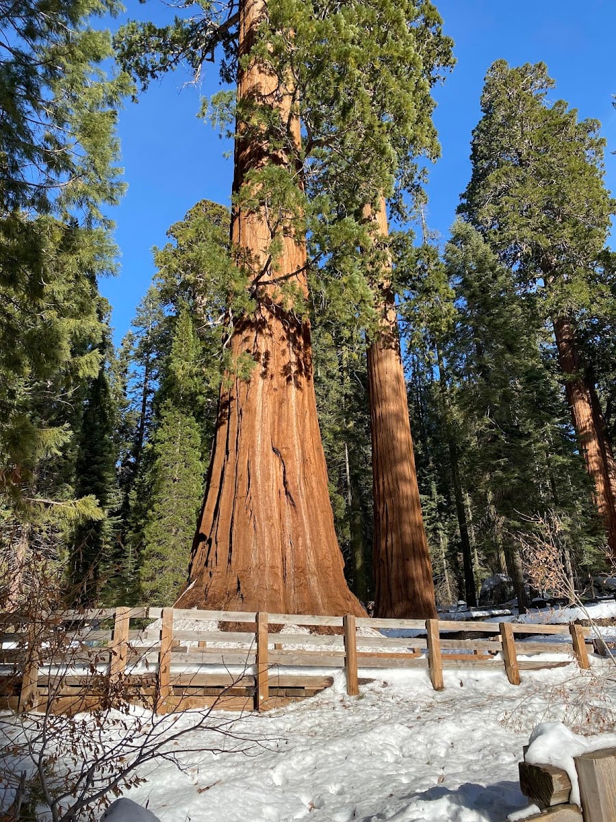 Sequoia National Park