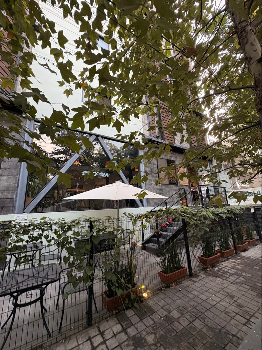 Café Sinergia