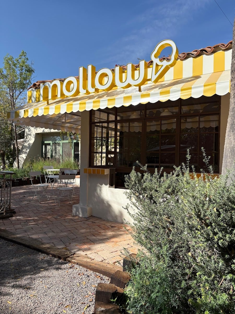 mollow heladería
