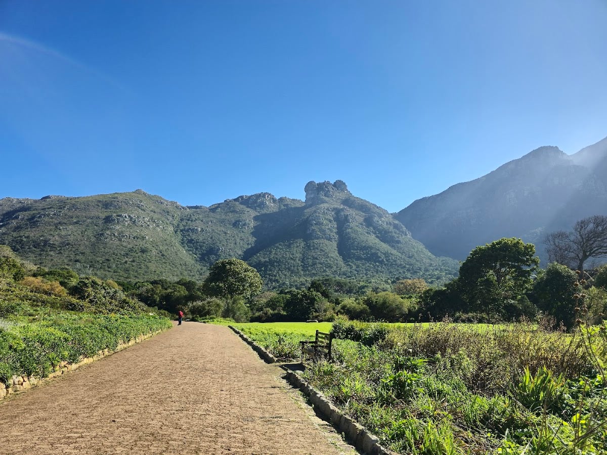 Kirstenbosch National Botanical Garden