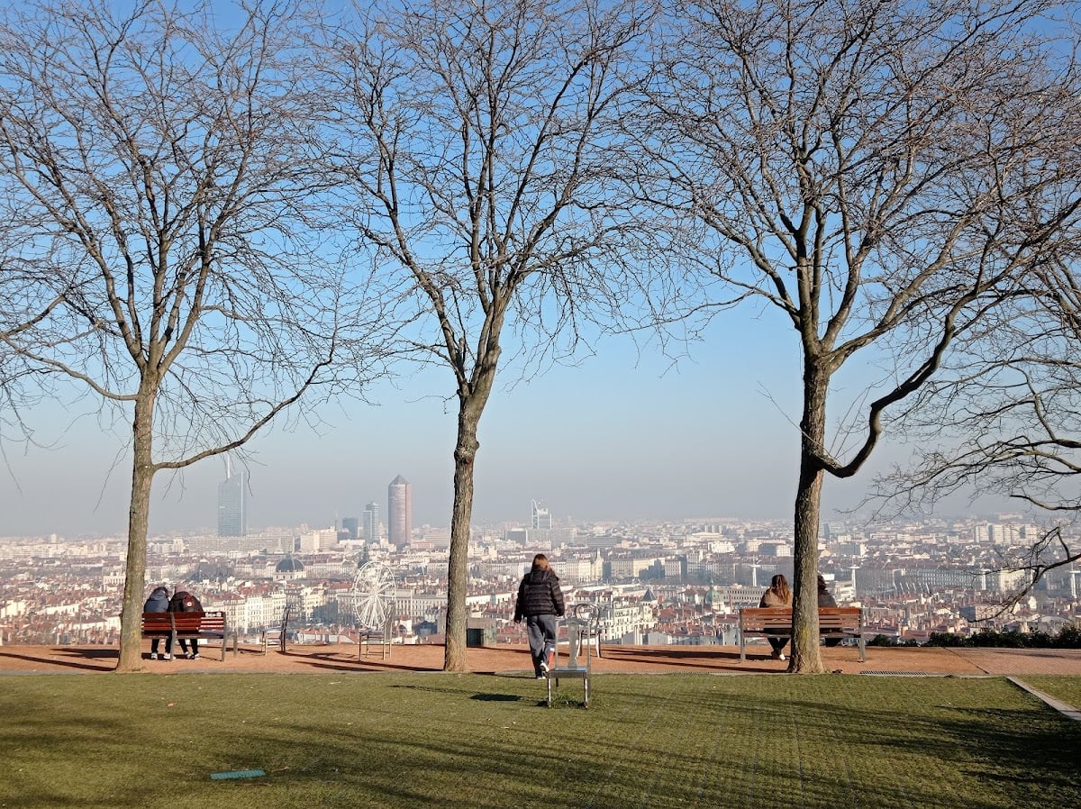 Jardin des Curiosités - 🌲jardin • 👁️point de vue
