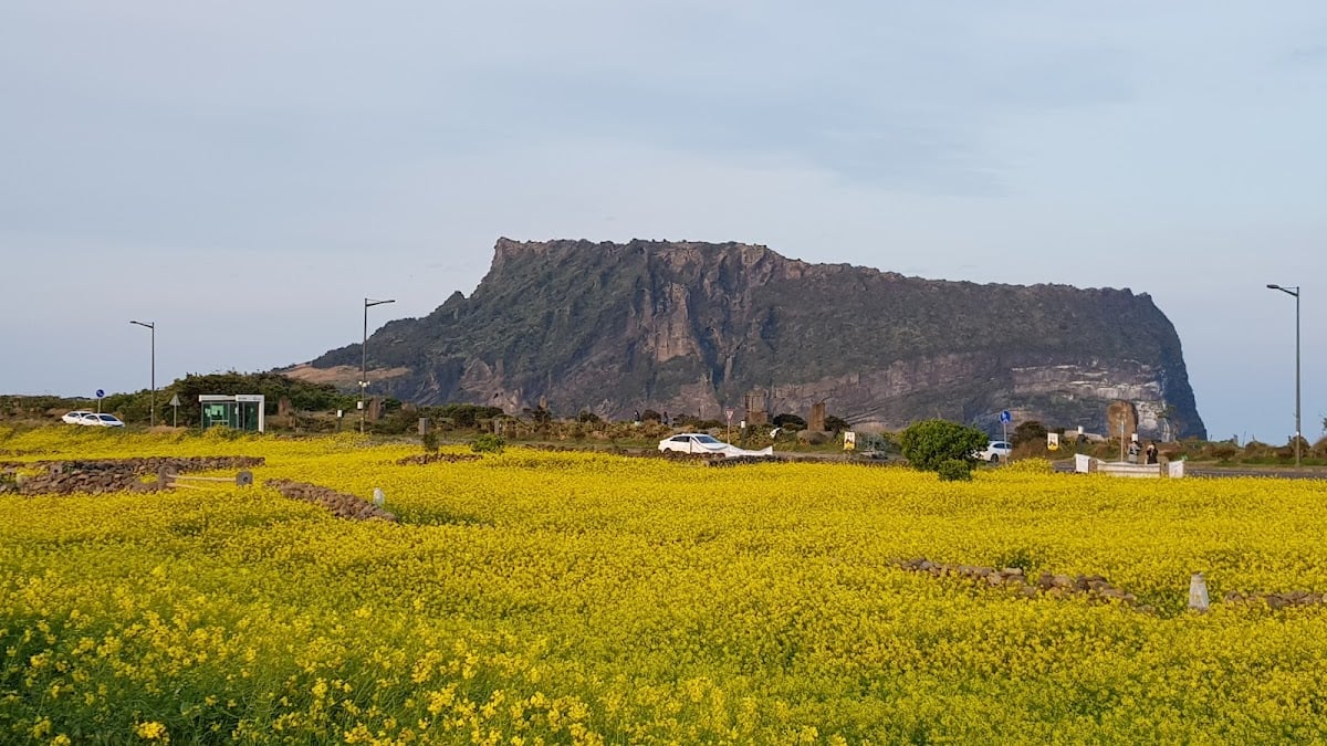 Seongsan Ilchulbong Tuff Cone Entrance