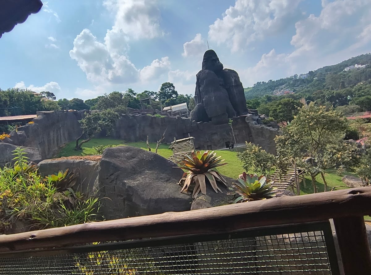 Animália Park