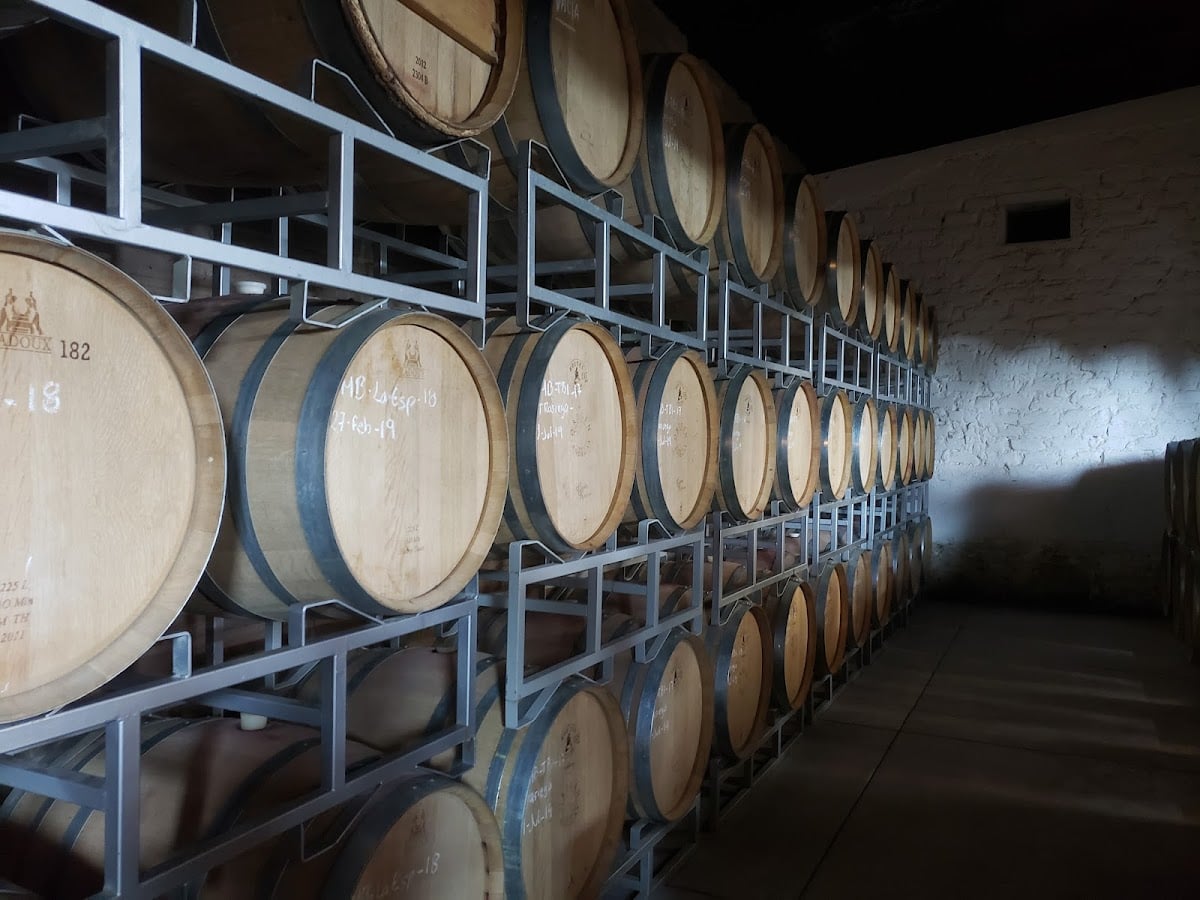 Vinicola Santa Elena de Aguascalientes - Aguascalientes
