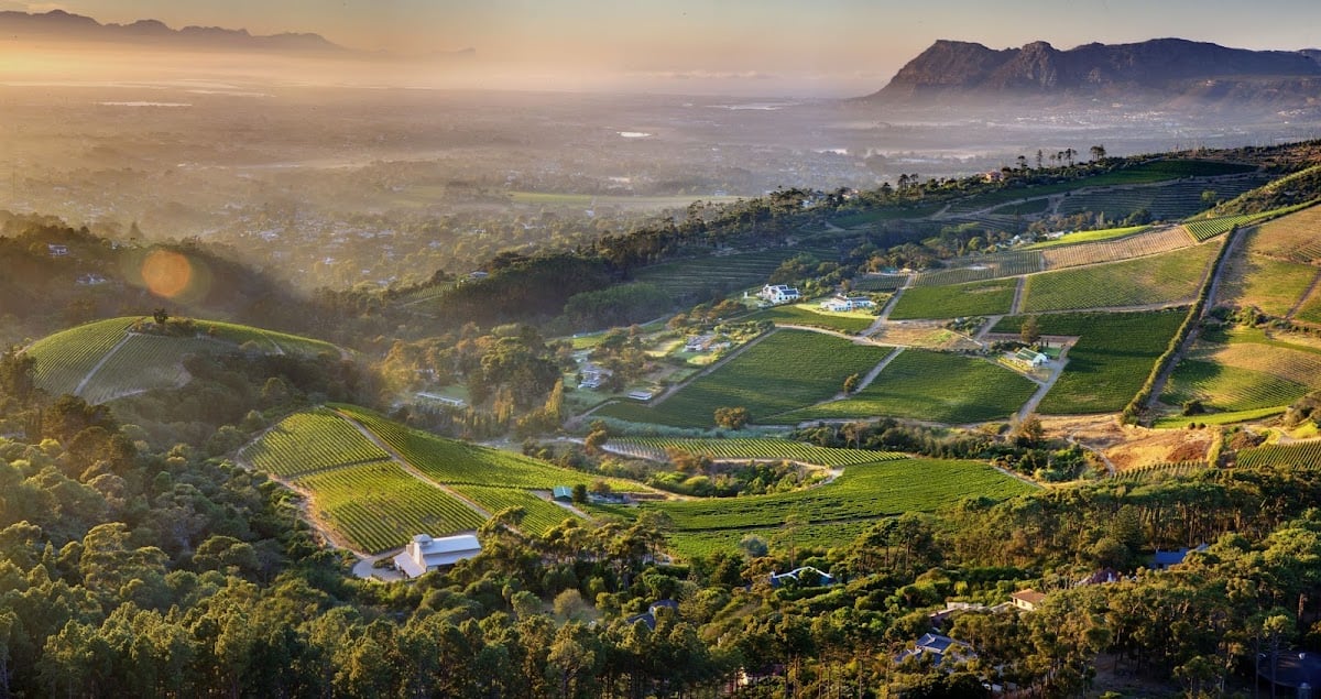 Constantia Glen - Vinhos, paisagem e comida boa.