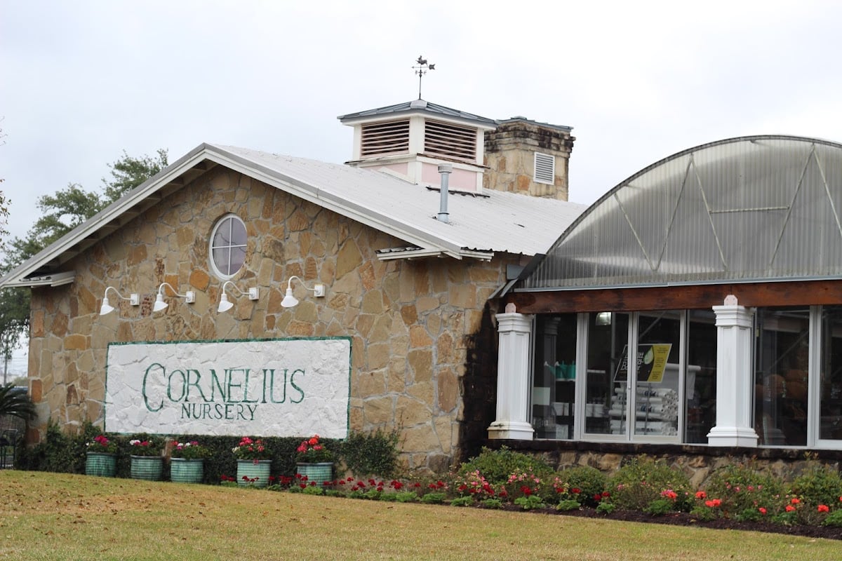⋆.˚ cornelius nursery ⋆.˚୨୧