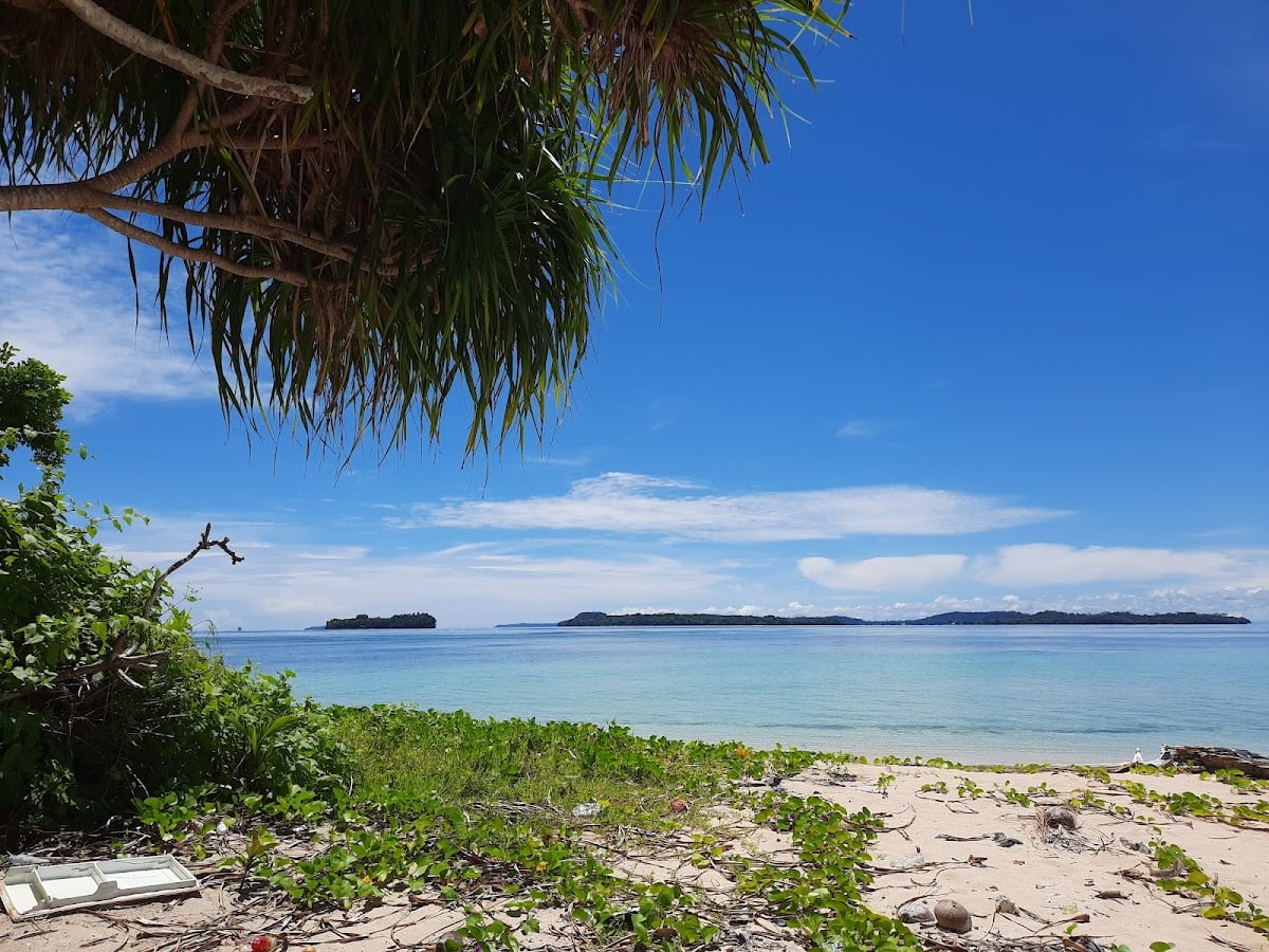 New Guinea
