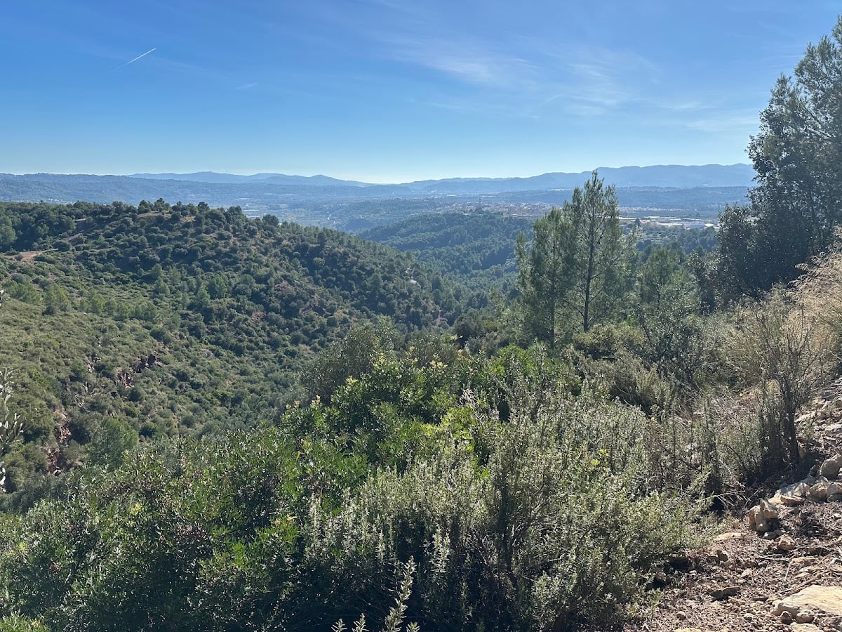 Turó de les Ginesteres