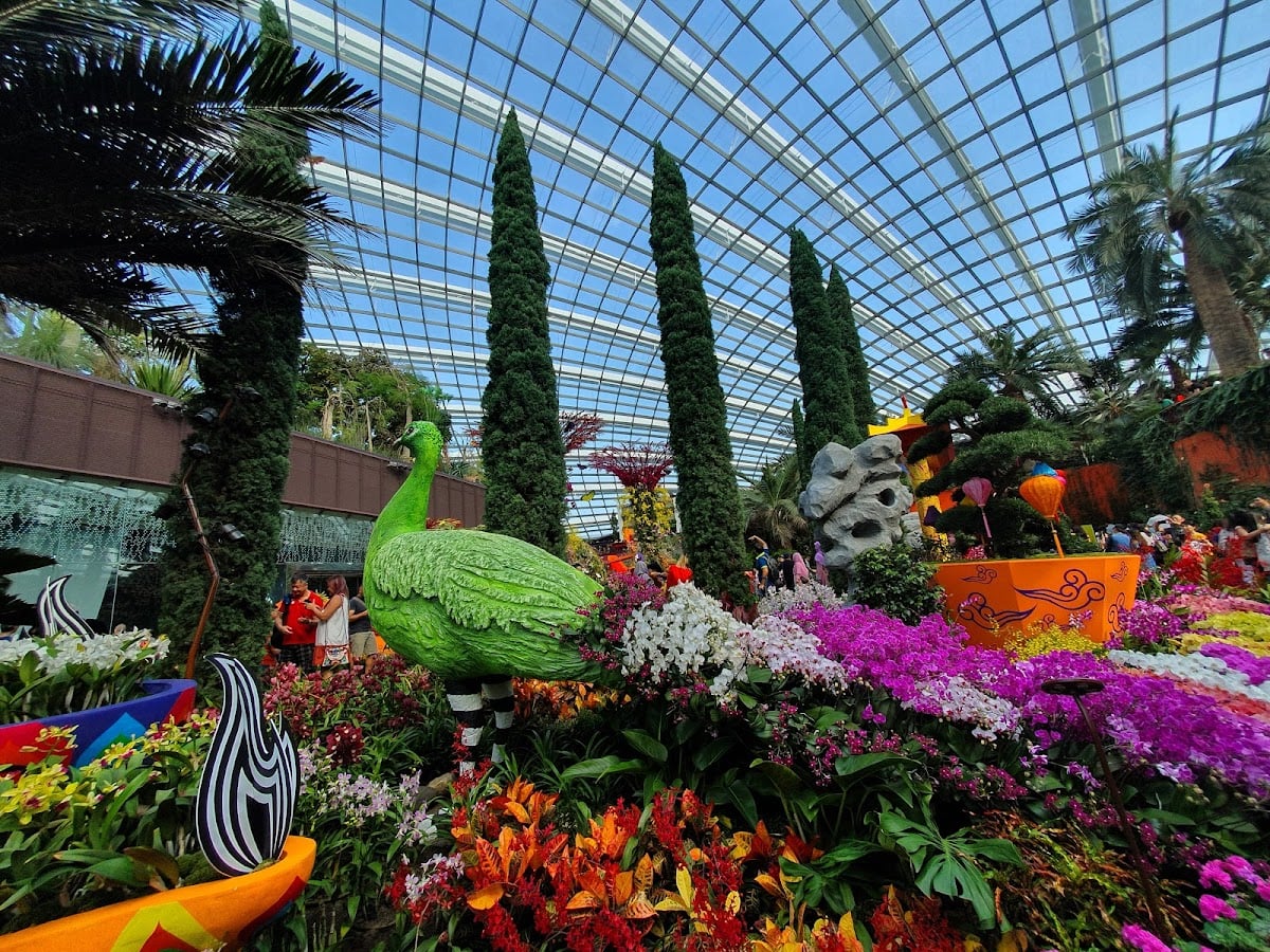 Garden by the Bay - Orchid Extravaganza