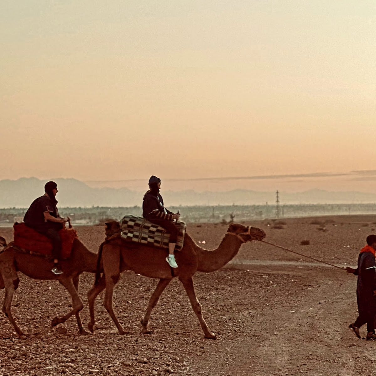 sahara morocco