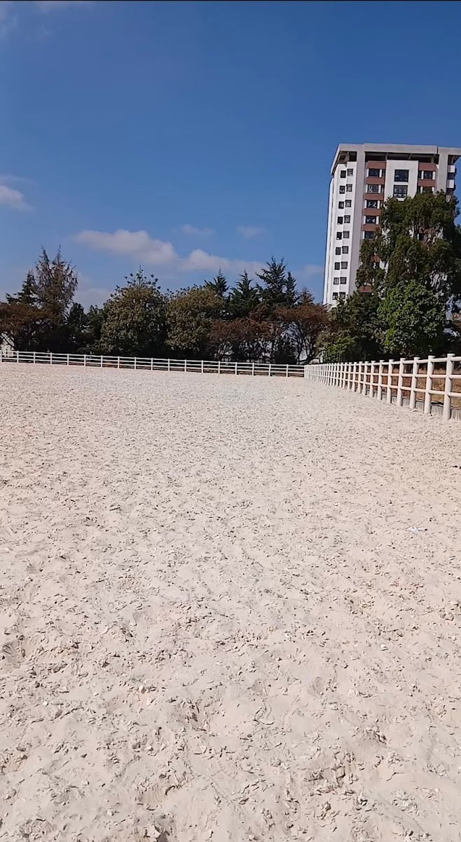 Balderas Horse Stable | ባልደራስ ፈርስ ቤት