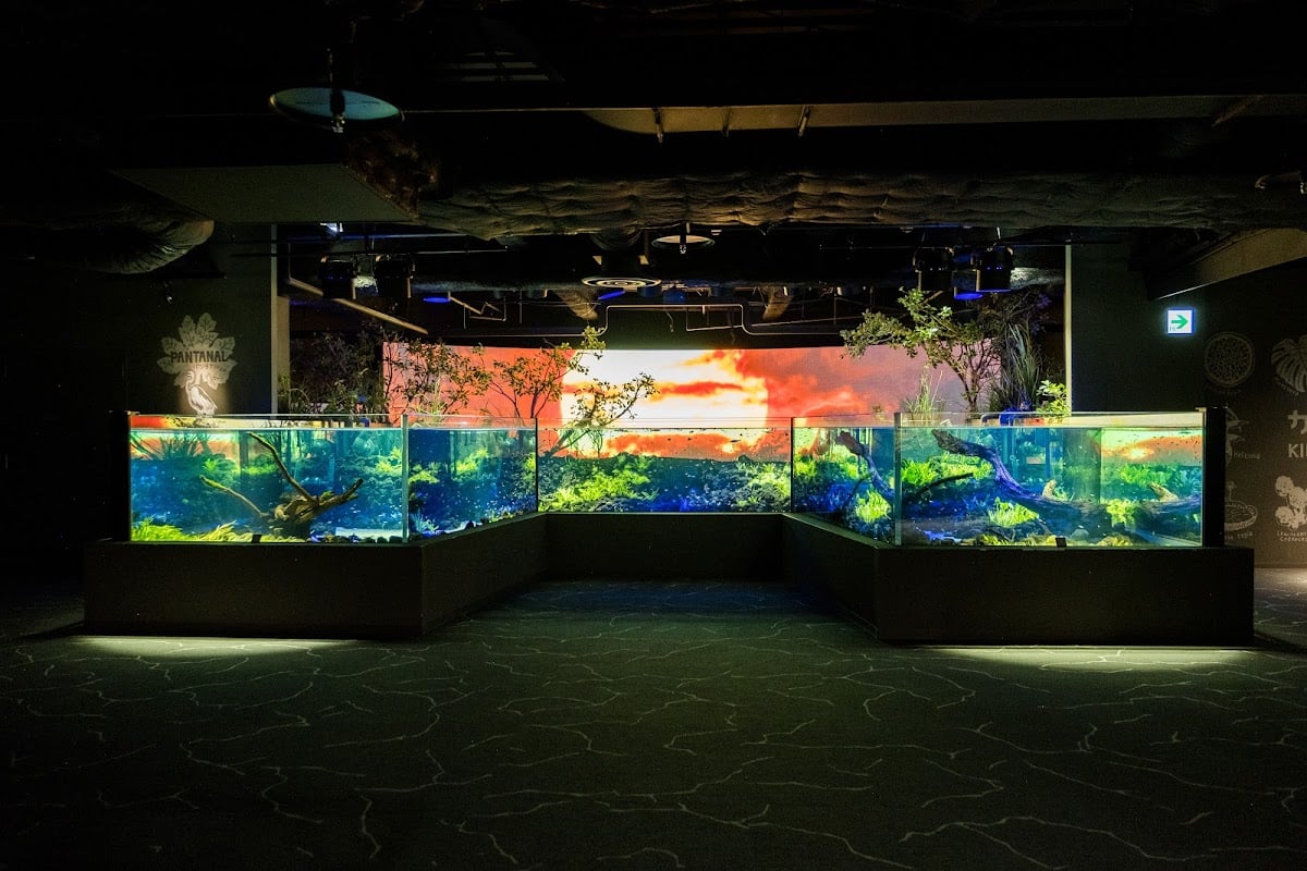 カワスイ 川崎水族館