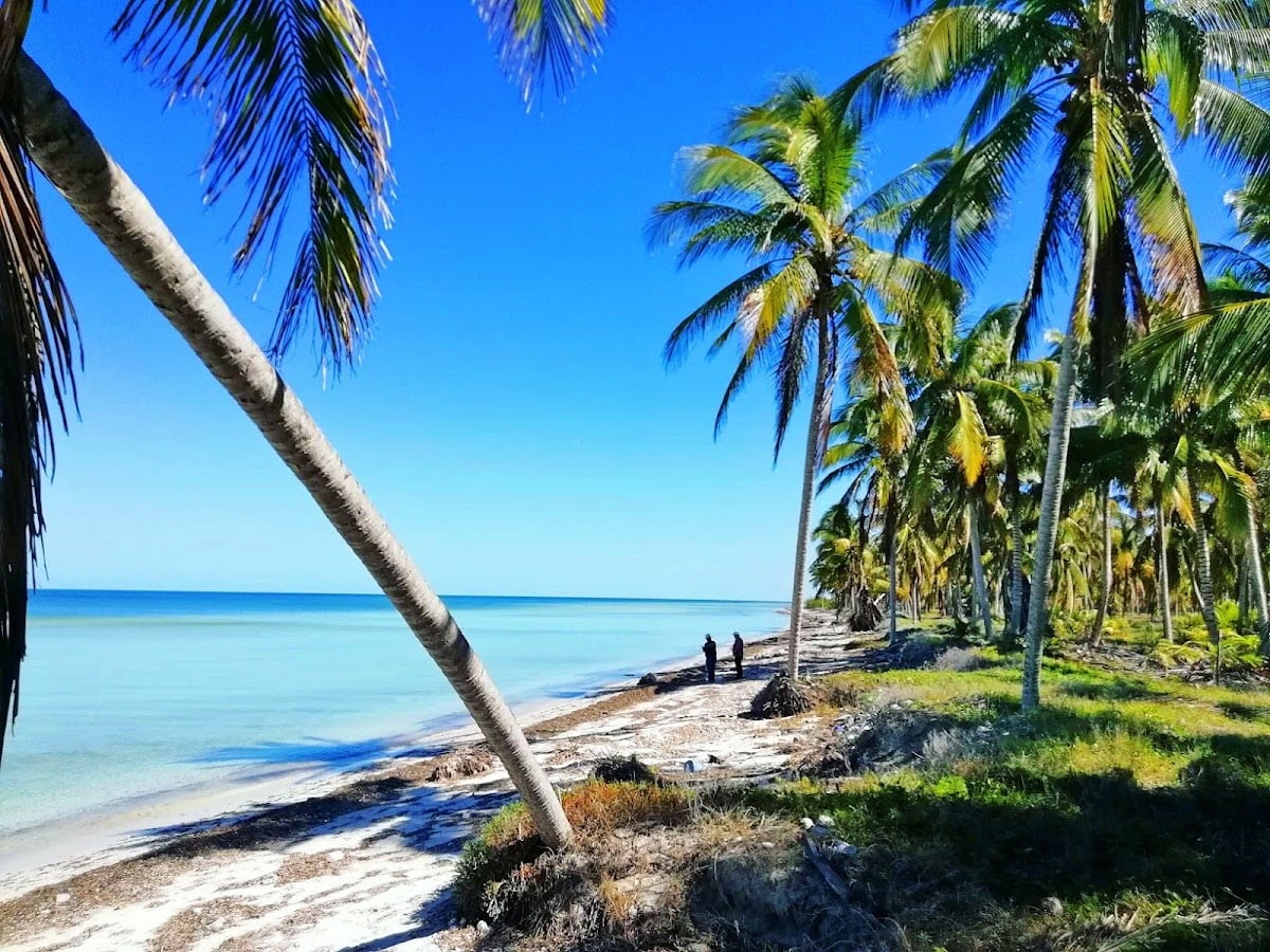 San Crisanto