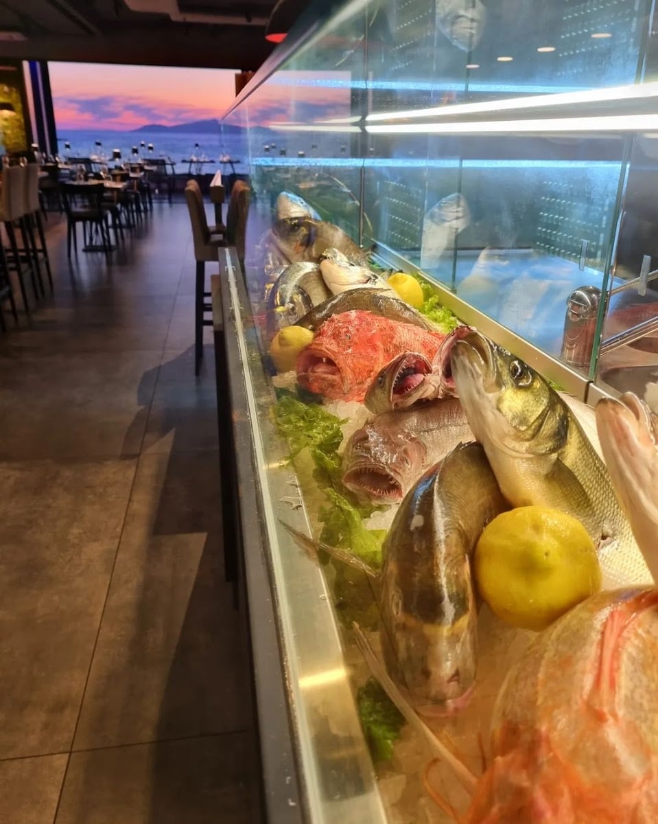 MM Lounge Restaurant - Restaurant