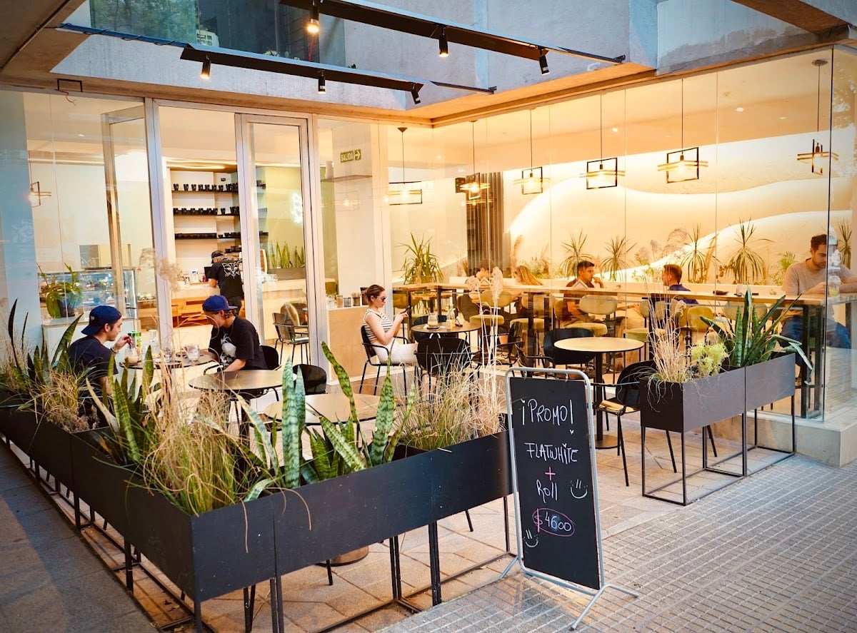 MAO | Café de Especialidad