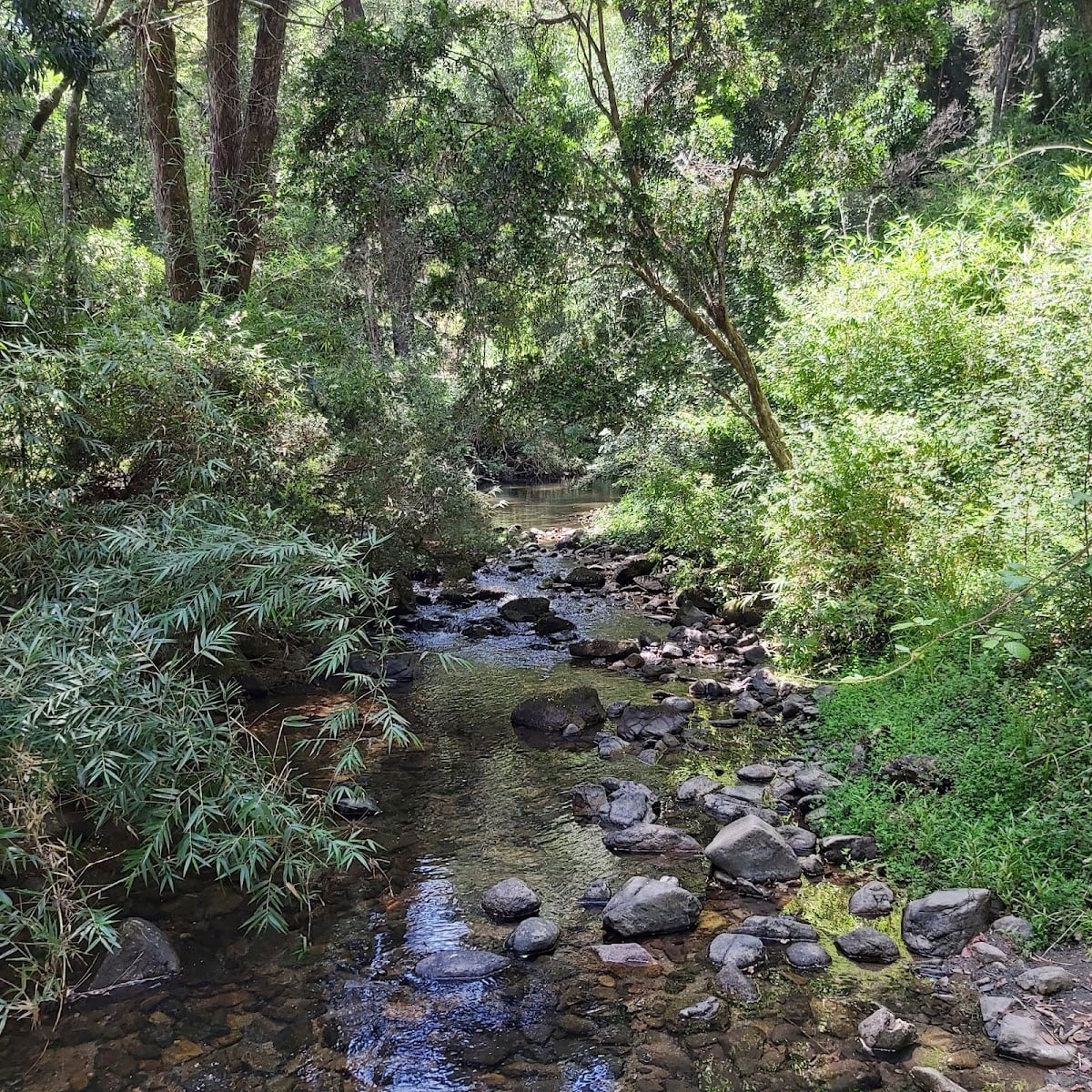Parque Nacional Nonguén