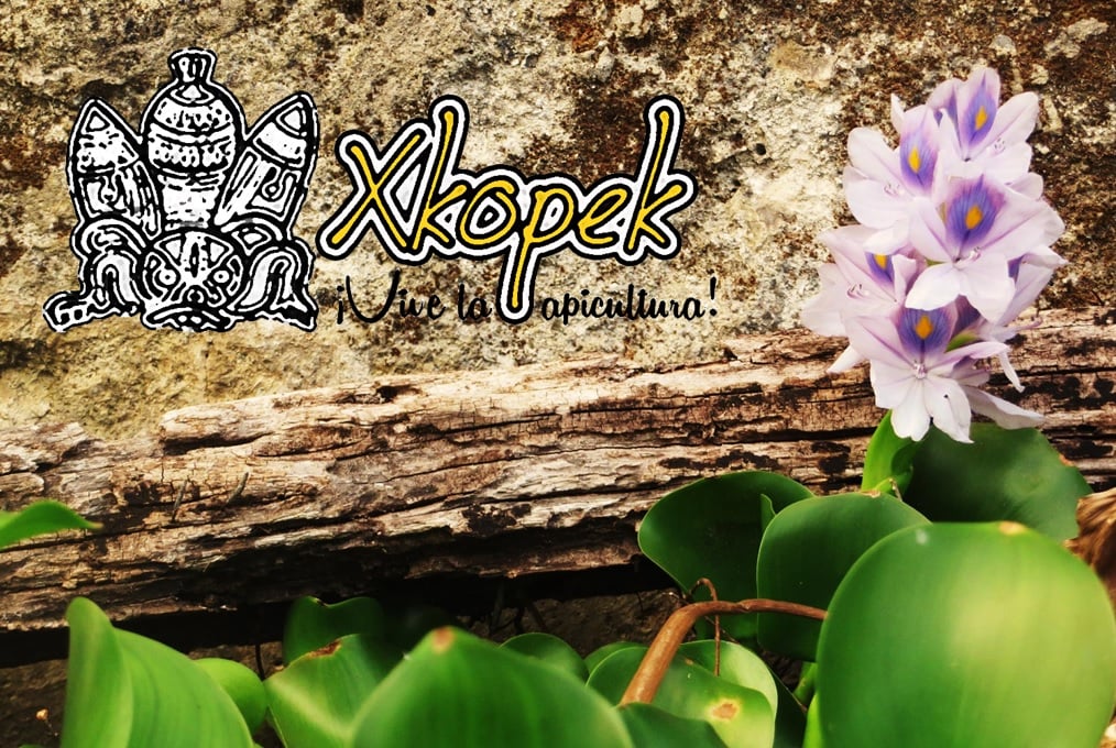 Xkopek, Parque Apícola