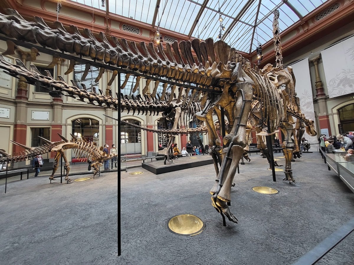 Naturkundemuseum
