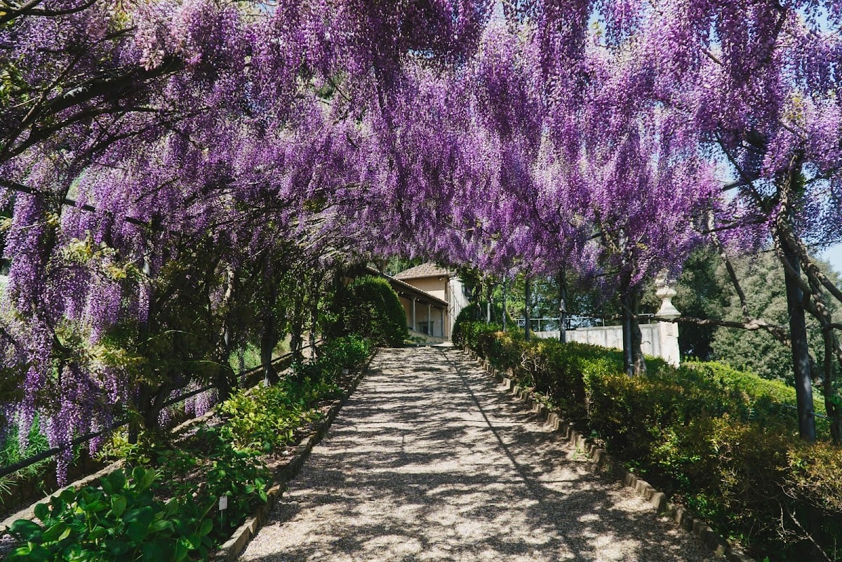 Villa Bardini