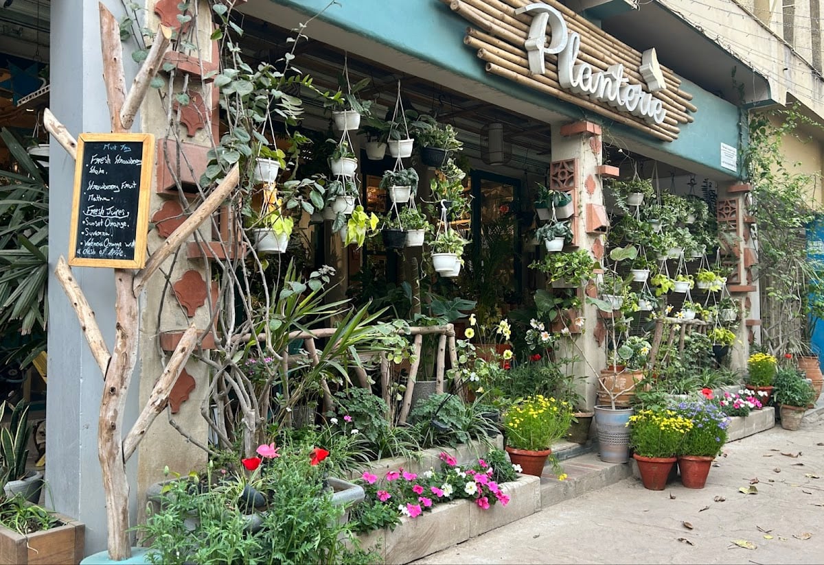Planterie | Plant Studio & Cafe | Plant Delivery in Delhi-NCR, Corporate Gifting, Terrarium Workshop, Terrace Gardens