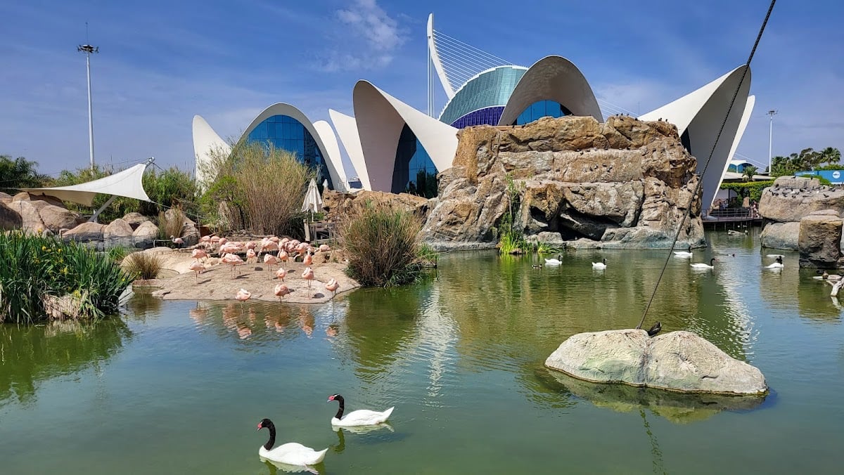 L’Oceanogràfic