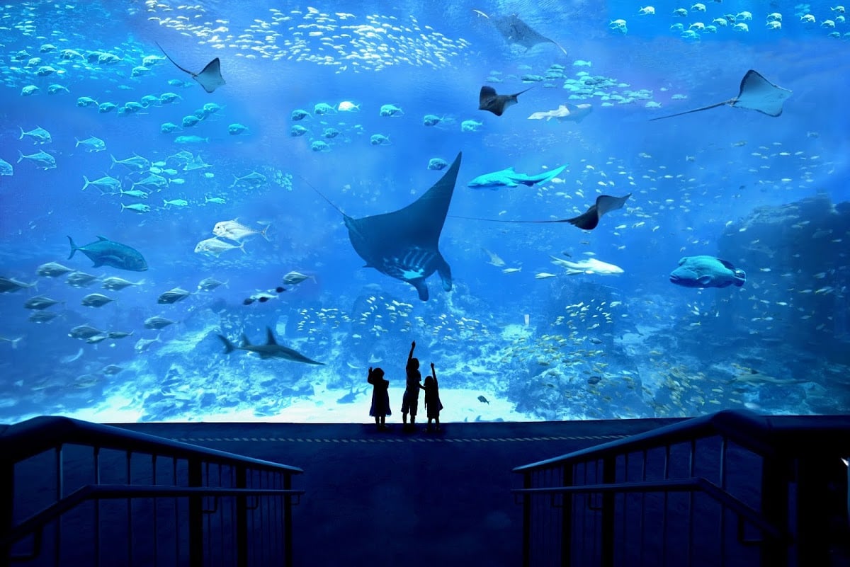 Singapore Oceanarium