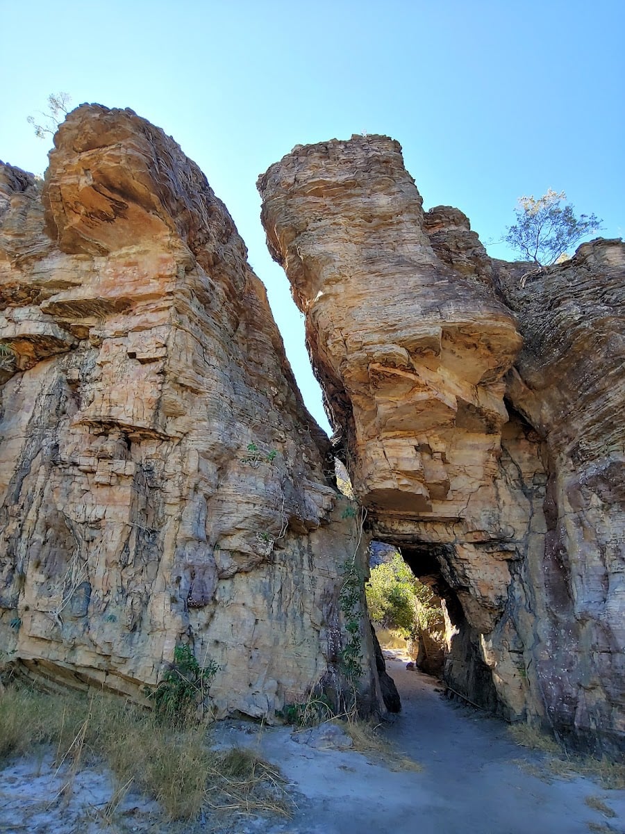 Kakadu - Australie