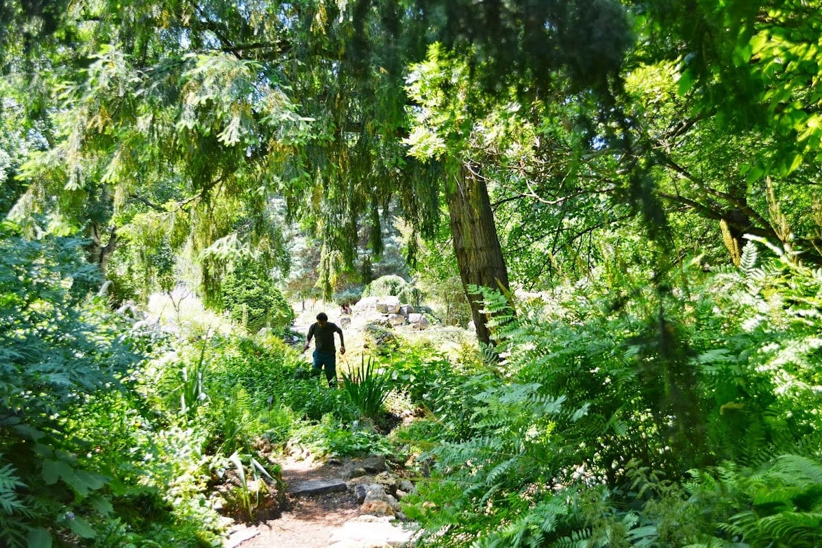 Jardin alpin
