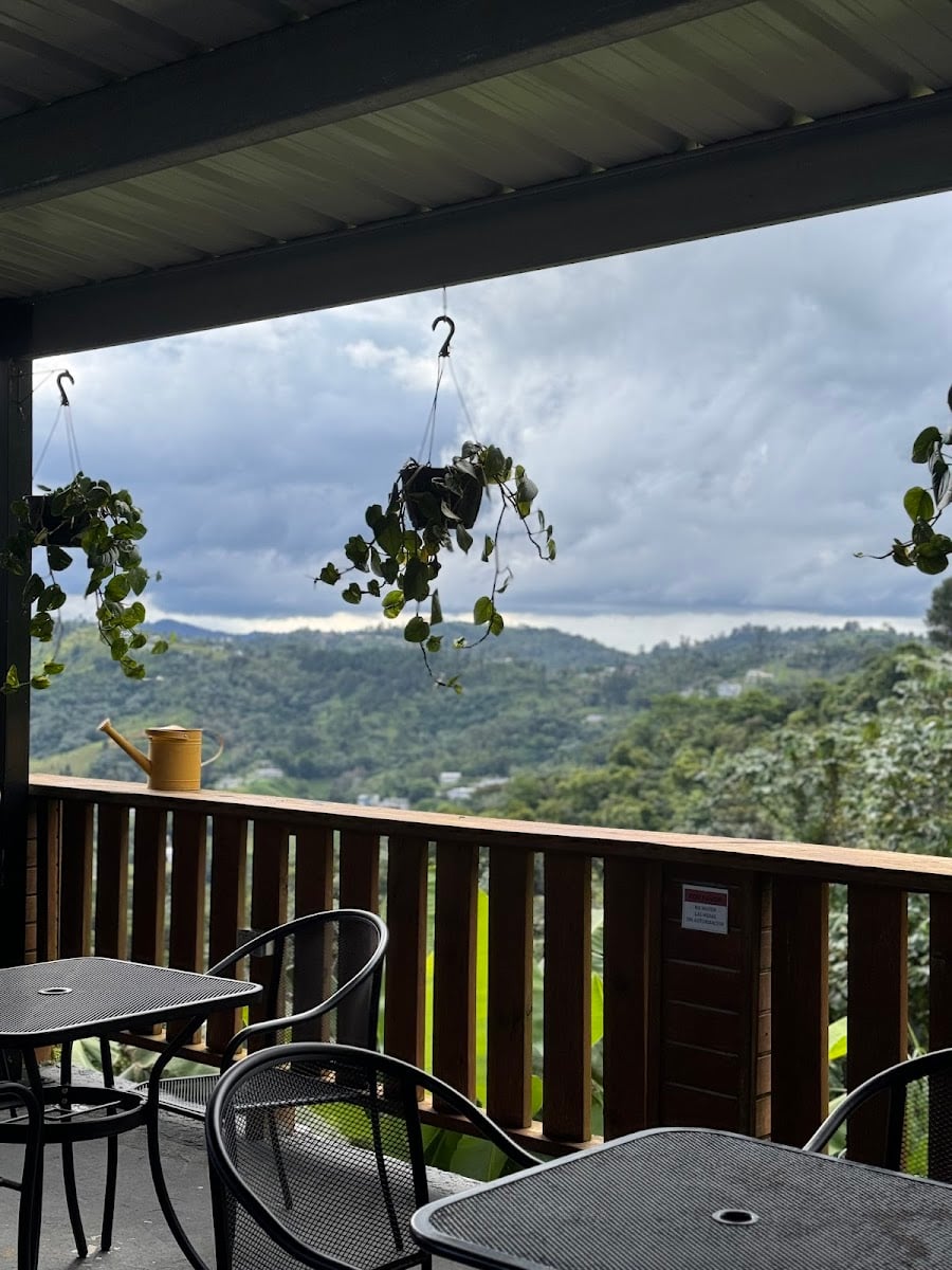 Pal' Tostao Café Naranjito