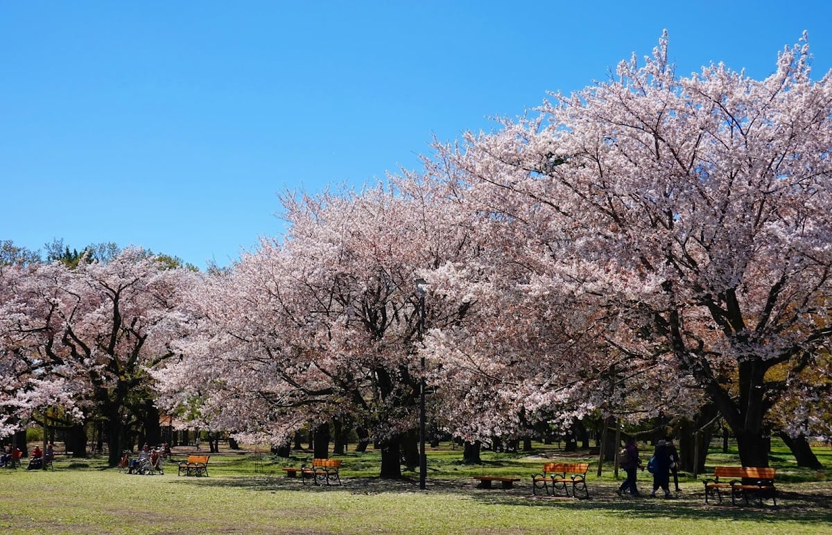 小金井公園