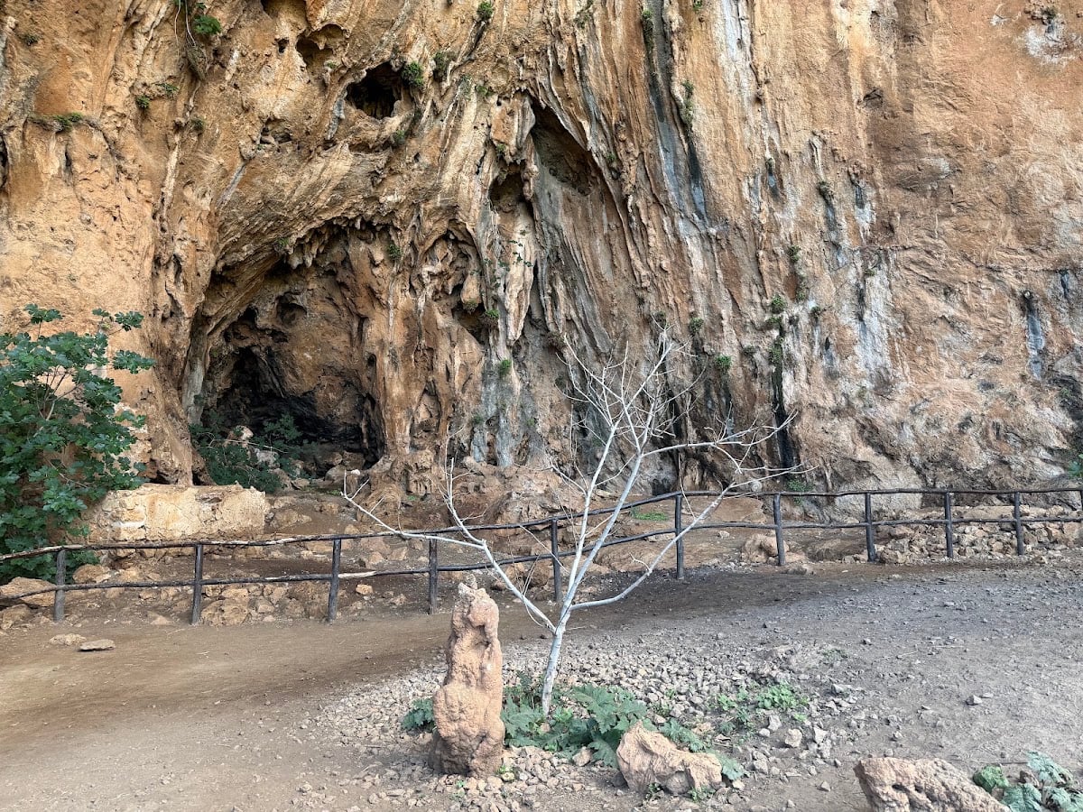Grotta dell'Uzzo