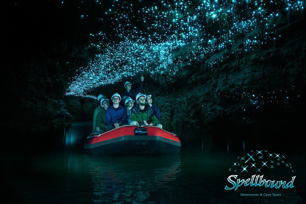 Spellbound Glowworm and Cave Tour