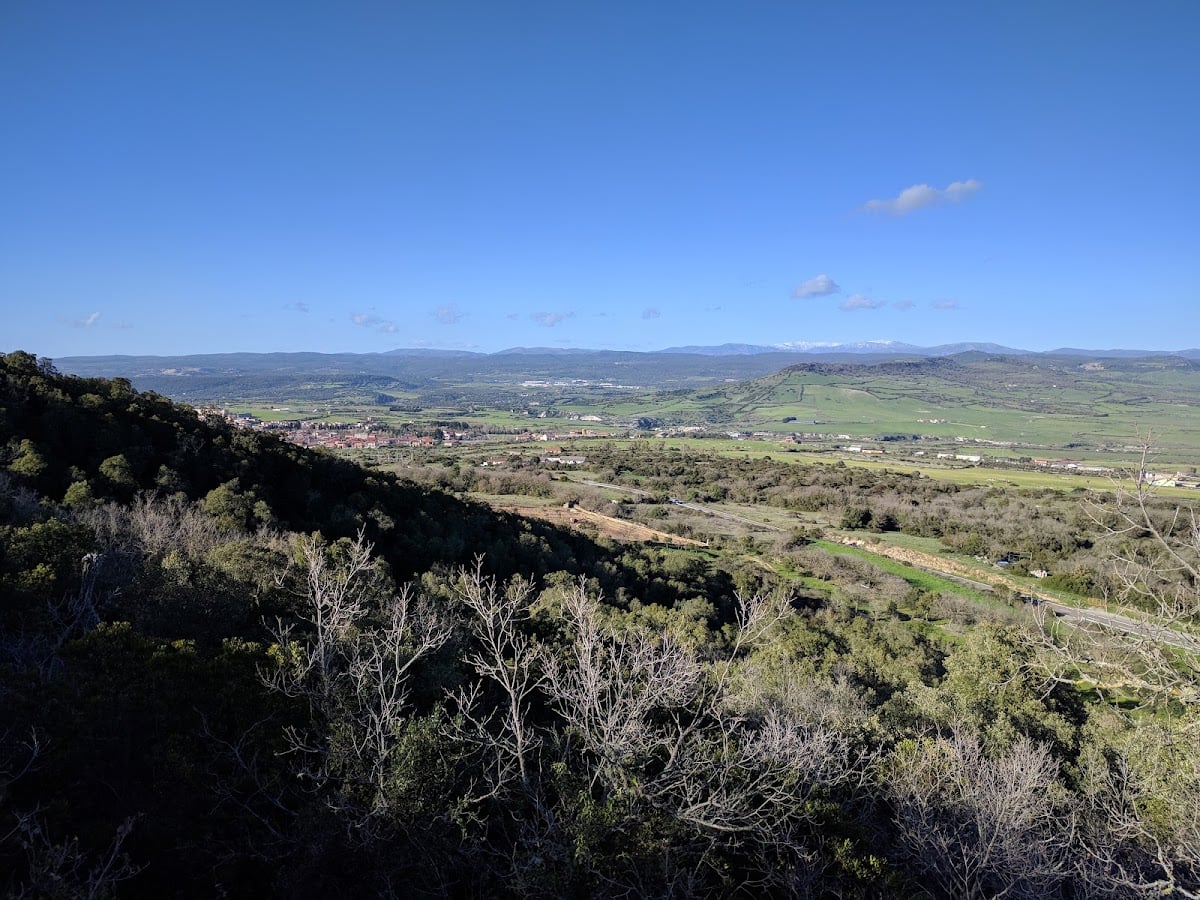 Complesso Forestale di Monte Simudis