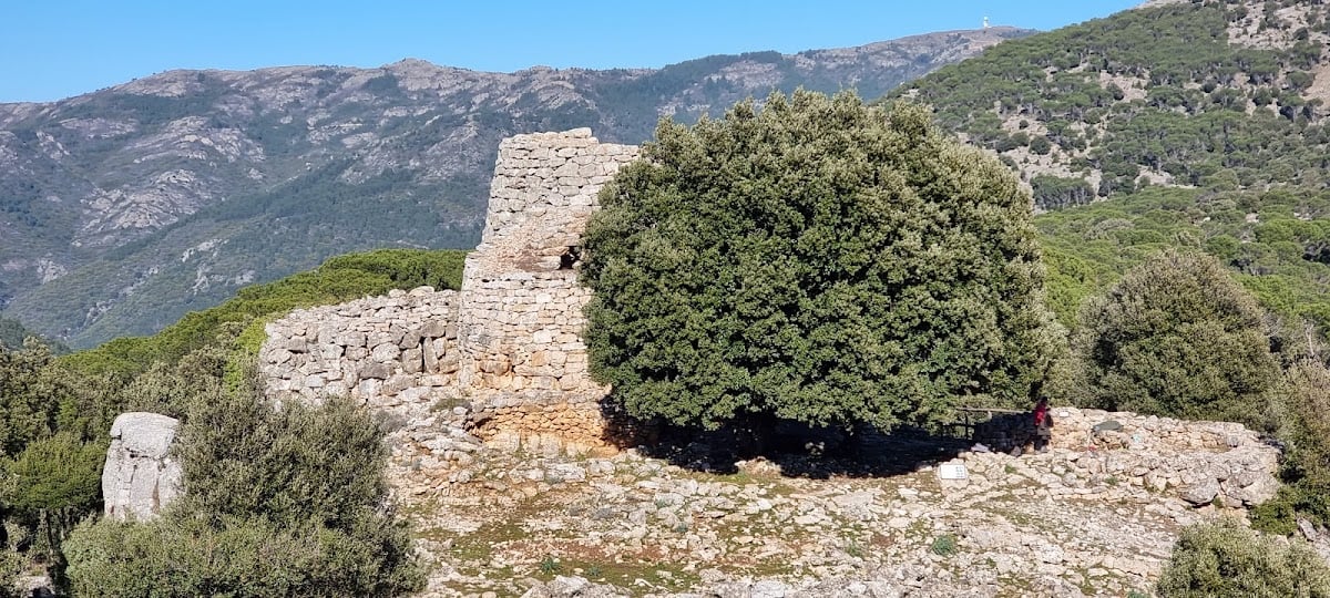 Osini