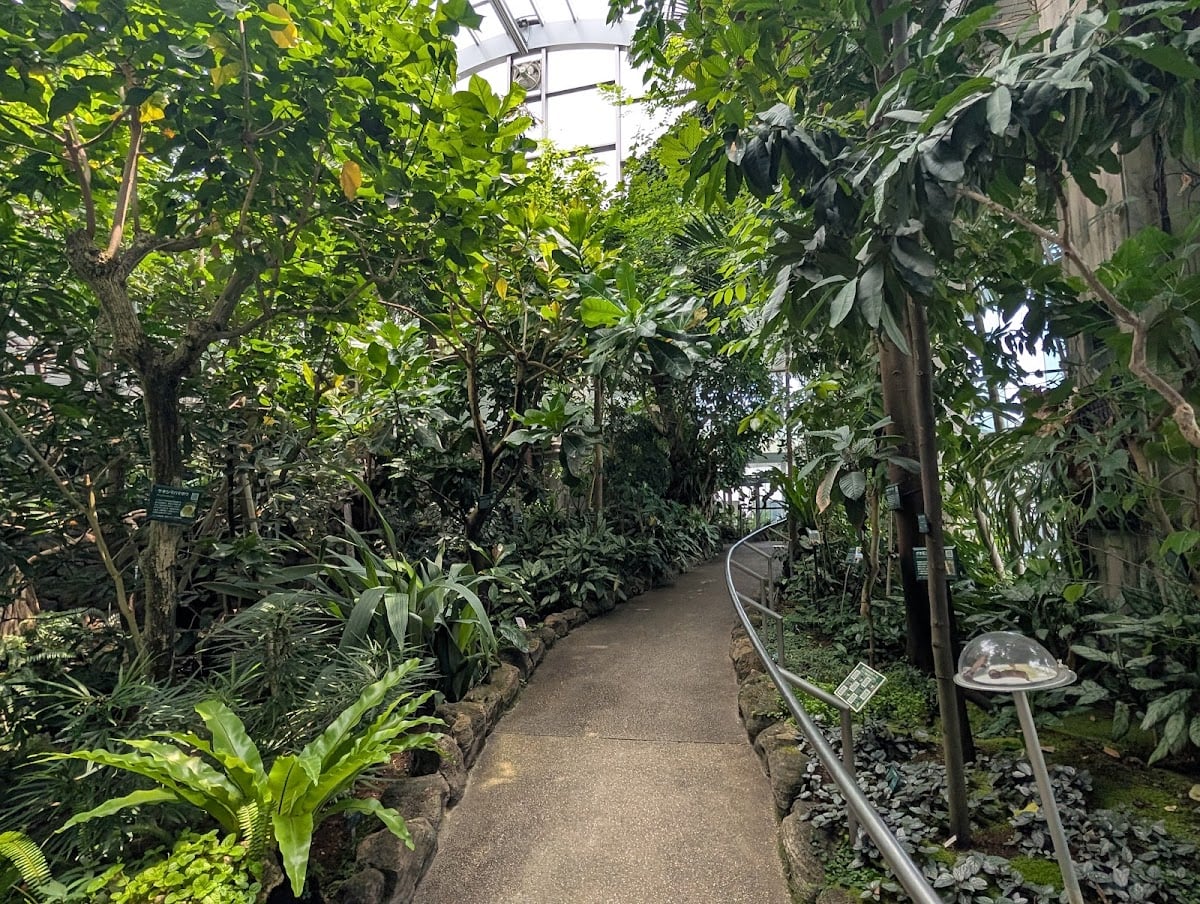板橋区立熱帯環境植物館 - 〈東京〉
