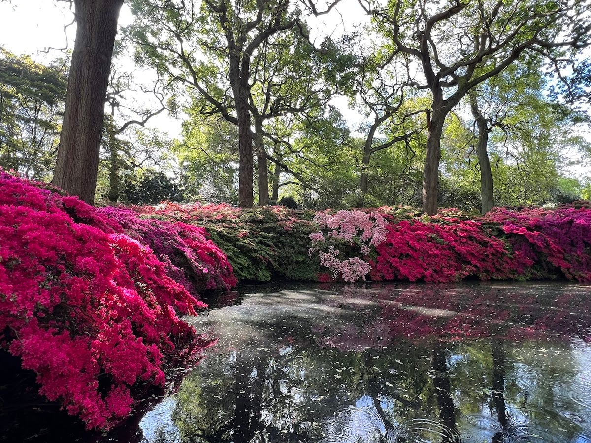 Isabella Plantation