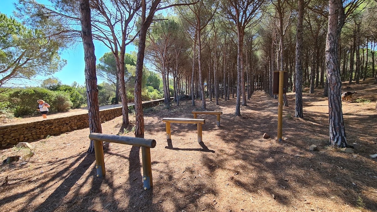 Parco Pineta di Punta Nera